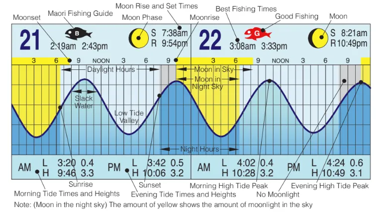 Detail of the Tide Times calendar tide curve with moon phase and fishing guide symbols